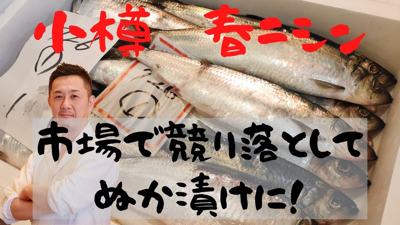 小樽前浜春ニシン一番手のぬか漬け紹介 仕入れから実食まで Youtube