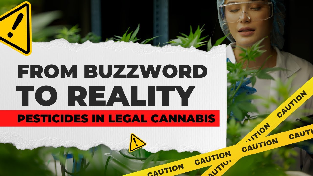 From Buzzword to Reality: Pesticides in Legal Cannabis