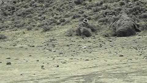 Shockwave Target vs. Microwave