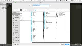 4 Deleting files - working with files - PHP COURSE CMS PROJECT Wealth