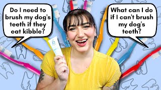 Pet Nutritionist Answers Your Dog Dental Health Questions by The Tattooed Dog Trainer 2,973 views 1 year ago 12 minutes, 39 seconds