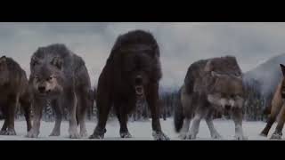 Волки мы в ночных Лесах   Руслан Добрый, Tural Everest VIDEO