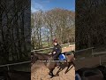 Sprinter Sacre and Barry Geraghty off for a ride #cheltenhamfestival #horseracing #horsesport