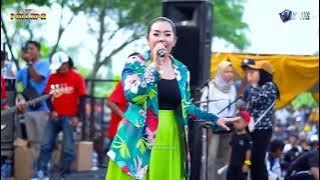 TETEG ATI DEVI ALDIVA Ft New Pallapa Live Ngepung   Kedamean Gresik