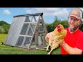 DIY Chicken Coop / Tractor Build With The Family