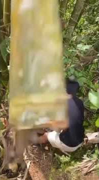 Status wa lucu amediketu prank buat senam jantung