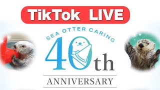 《鳥羽水族館》ラッコ飼育40周年記念🎊 ラッコTikTok ライブ by 鳥羽水族館 TOBA AQUARIUM 42,603 views 7 months ago 58 minutes