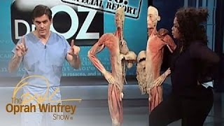 Dr. Oz Illustrates How the Human Body Deals with Stress | The Oprah Winfrey Show | OWN