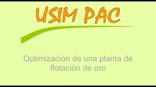 Optimización de una planta de flotación de oro con USIM PAC