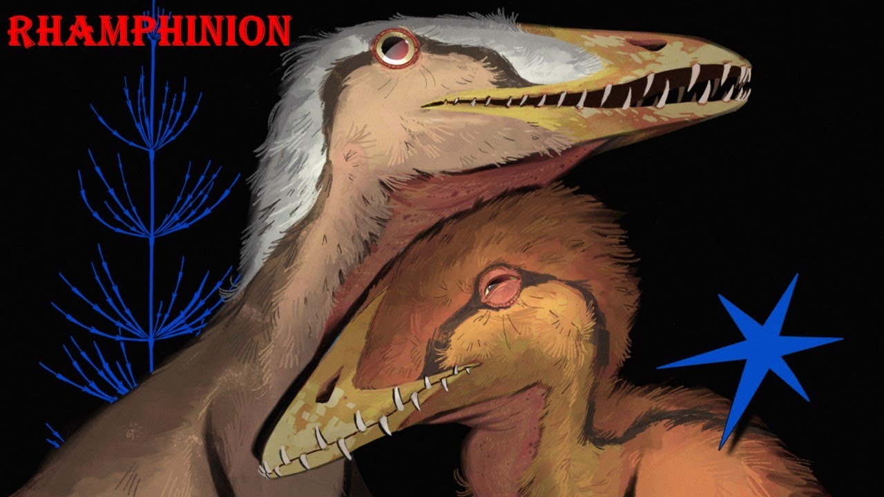 Rhamphinion