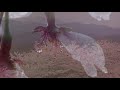 映像作家・保山耕一 X 千住真理子「大河流々」