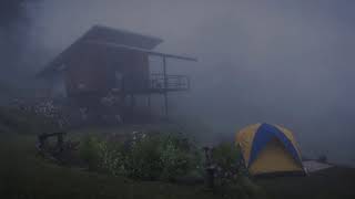 10 hours Noise of Rain on a small tent next to a house in a foggy forest   Sounds of rain and thunde