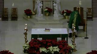 Third Sunday in Ordinary Time (Saturday, January 24 , 2026)