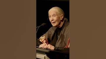 Dr. Jane Goodall on Animal Personalities