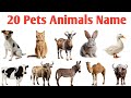 Pets Animals Name Hindi and English, Kids Lean | 20 पालतू जानवरो के नाम हिंदी और इंग्लिश मे