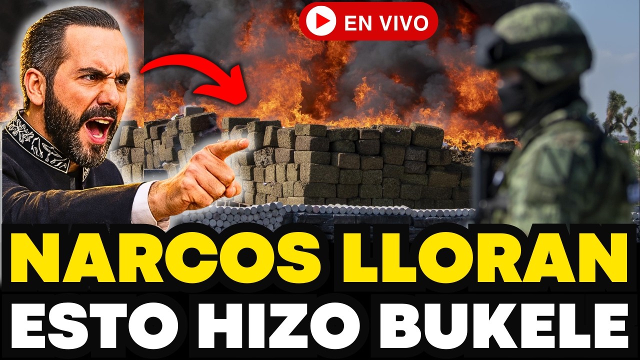 BUKELE QUEMA MILLONES NARCOS LLORAN