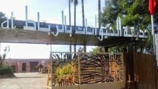 جولة رائعة في حديقة الحيوانات بالرباط #jardin zoologique de rabat