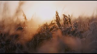 Let the Mind Rest — Deep Sleep Ambient for Calm Night & Deep Relaxation