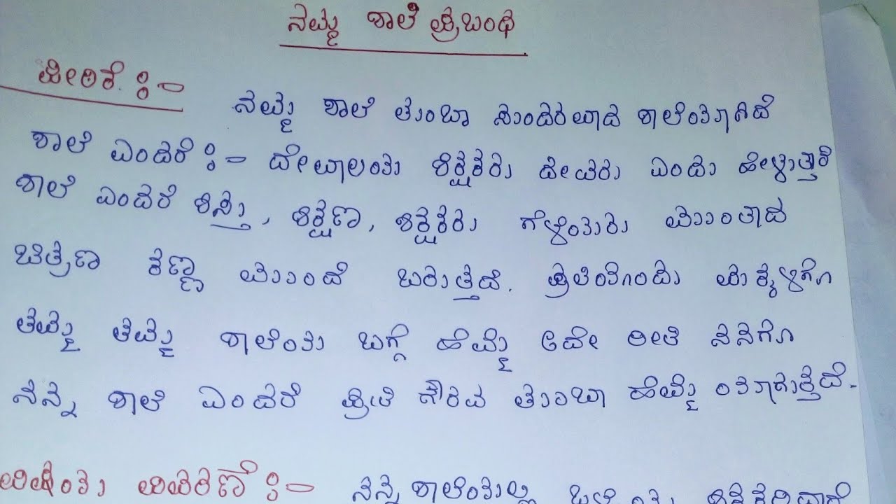 ನನ್ನ ಶಾಲೆ ಪ್ರಬಂಧ ನಮ್ಮ ಶಾಲೆ ಪ್ರಬಂಧ ಸ್ಪರ್ಧೆ ಕನ್ನಡ my school essay in
