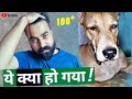 Tyson ko high fever  viral fever in dogs  bearded ladka vlogs 