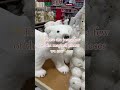 I want everything!!! #christmas #athome #toddlermom #christmasdecor #shopping