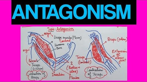 Antagonism | Class 10th Biology