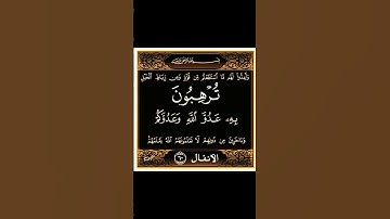 واعدوا لهم ما استطعتم من قوة ومن رباط الخيل #القرآن_الكريم سورة الأنفال
