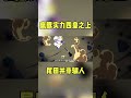 鹰眼的实力确实在四皇之上！尾田没骗我们，红发真打不过他 #海贼王
