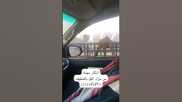 دحيم الحماد ١٤٤٧ه أذكار مهمة منظر من مزاد البل بالعطيف