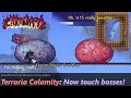 New terraria calamity update allows you to touch bosses  the most touching calamity update