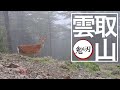 【雲取山】鬼滅の刃のゆかりの地。日本百名山を制覇!!