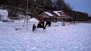 MVI_3594.AVI