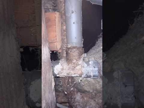 Leak coming from shower waste I got lucky #plumbing #plumber #plumbers  #domesticplumbing #diy
