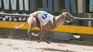 SAP SUN 07 MAR 21 R8