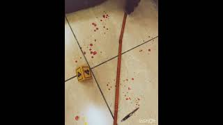 #it'sforensic #forensicbreakthrough #forensicscience #crimesceneinvestigator #crimesceneanalysis