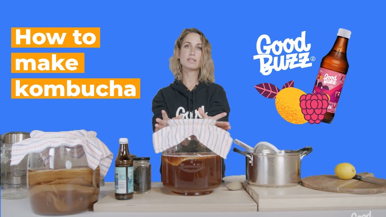 How to make kombucha the Good Buzz way YouTube
