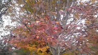 November 5, 2014, @2:11pm Chattanooga, Tennessee