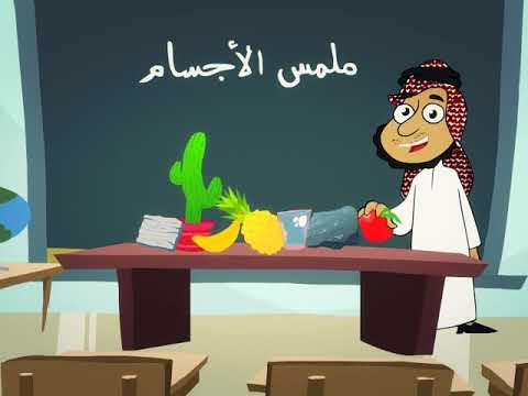 عيني تتعرف على الملمس  فنية  أول  الفصل الثاني