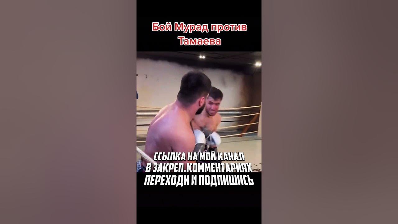   : .