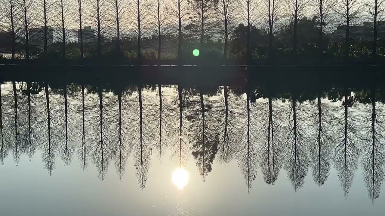 115-02-15 春天的氣息 霄裡池的清晨 04