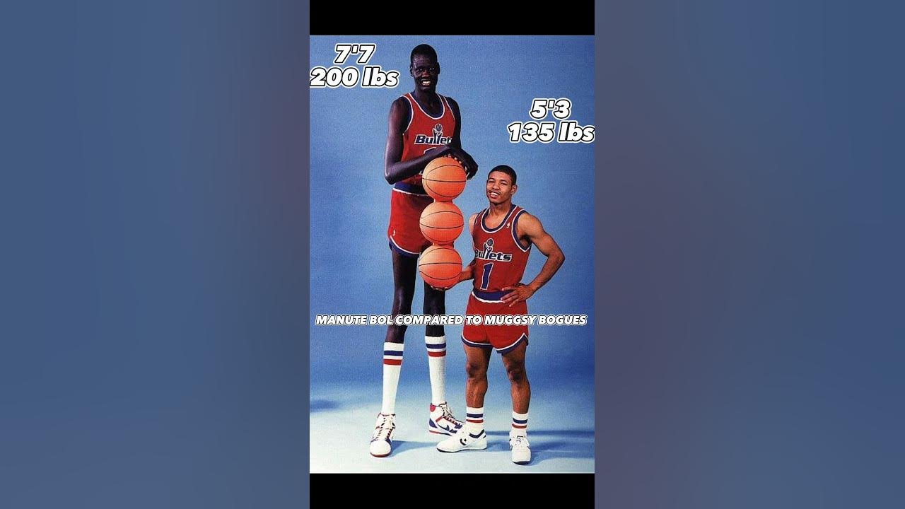 MANUTE BOL COMPARED TO MUGGSY BOGUES😶 shorts trending viral short 