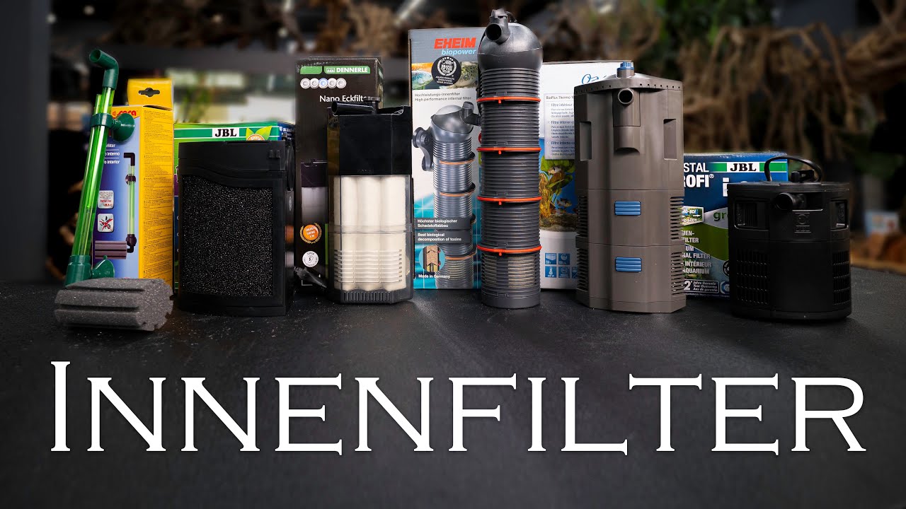 Welcher Innenfilter passt zu meinem Aquarium? - Innenfilter vorgestellt | Aquado-Zoo Dortmund