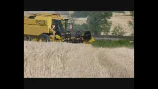 Moisson du blé 2011 ( wheat harvest).