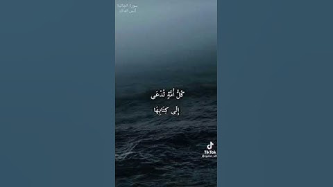 يؤمئذ يخسر المبطلون القارئ أنس المالك