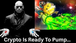 Altcoins Pump Lead To Sentiment Shift, Memecoins Pumping, Bitcoin Dominance Dump Imminent