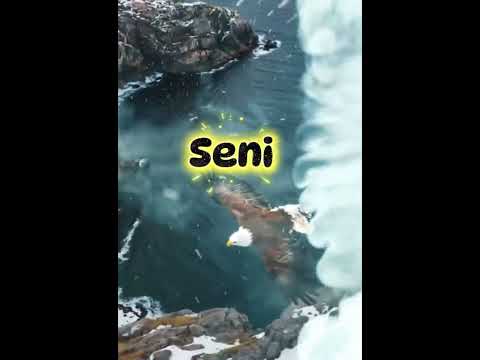 Doğru karar #viralvideo #karar #motivasyon #shortsvideo #hedef #niş #anlamlısözler #doğa #travel