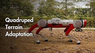 Ai-Powered Quadruped Robot Handles Rough Terrain With Ease Advanced Ai Locomotion