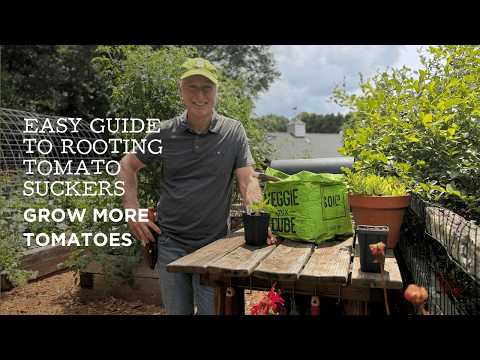 How to Propagate