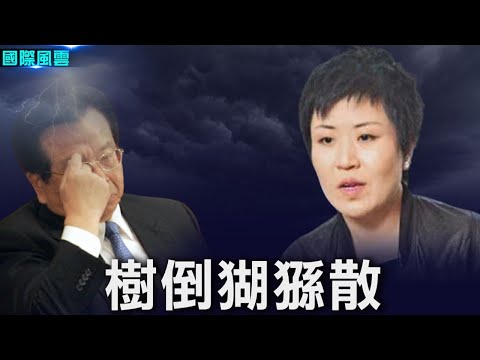 美媒：美军特种部队已秘密驻台1年多；曾庆红姪女连发敏感信息 靠山出问题了？【希望之声-国际风云-2021/10/07】