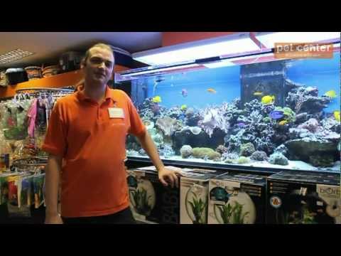Video: Jaké Jsou Nejlepší Ryby Pro Mořské Akvárium Se Studenou Vodou?